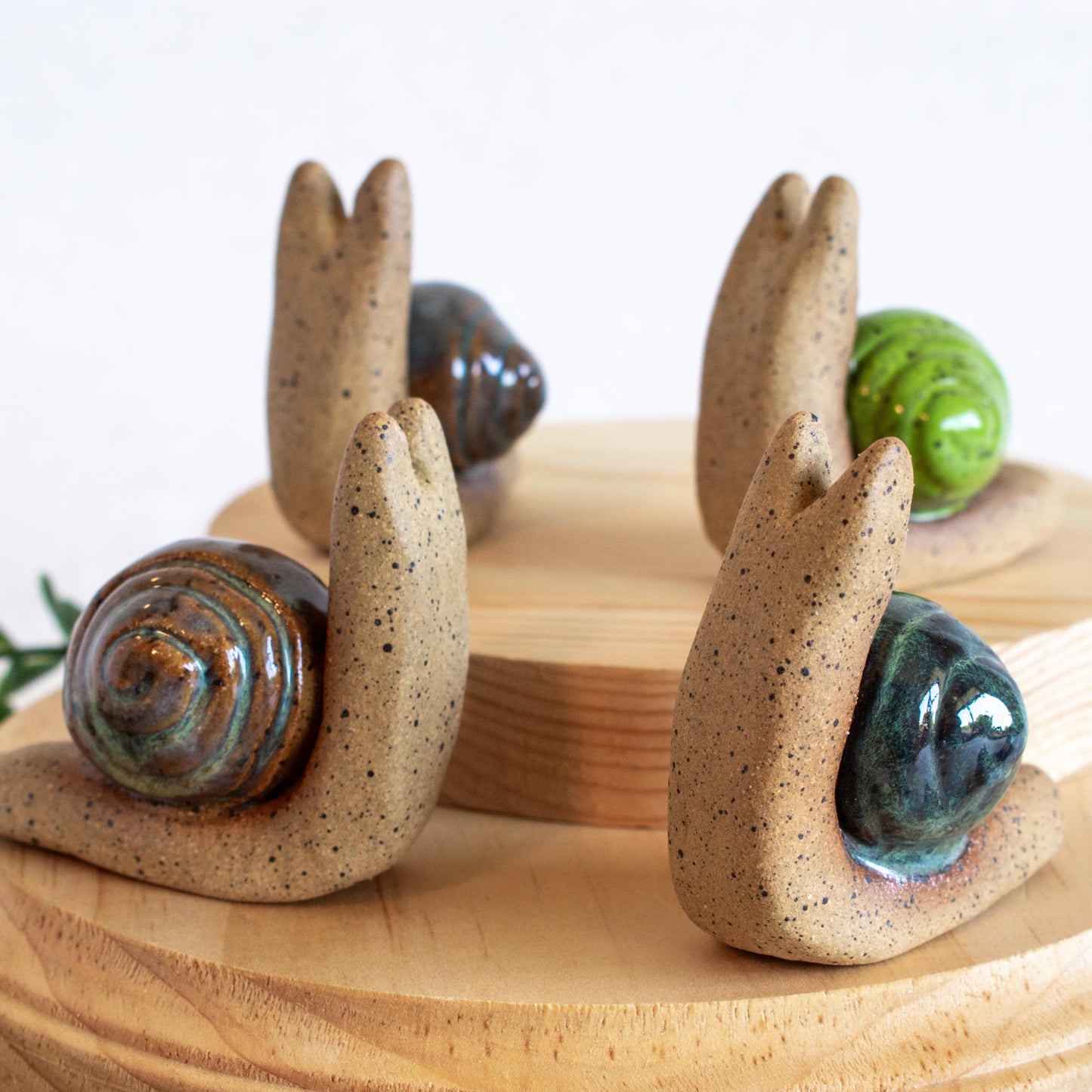 Snail Friends