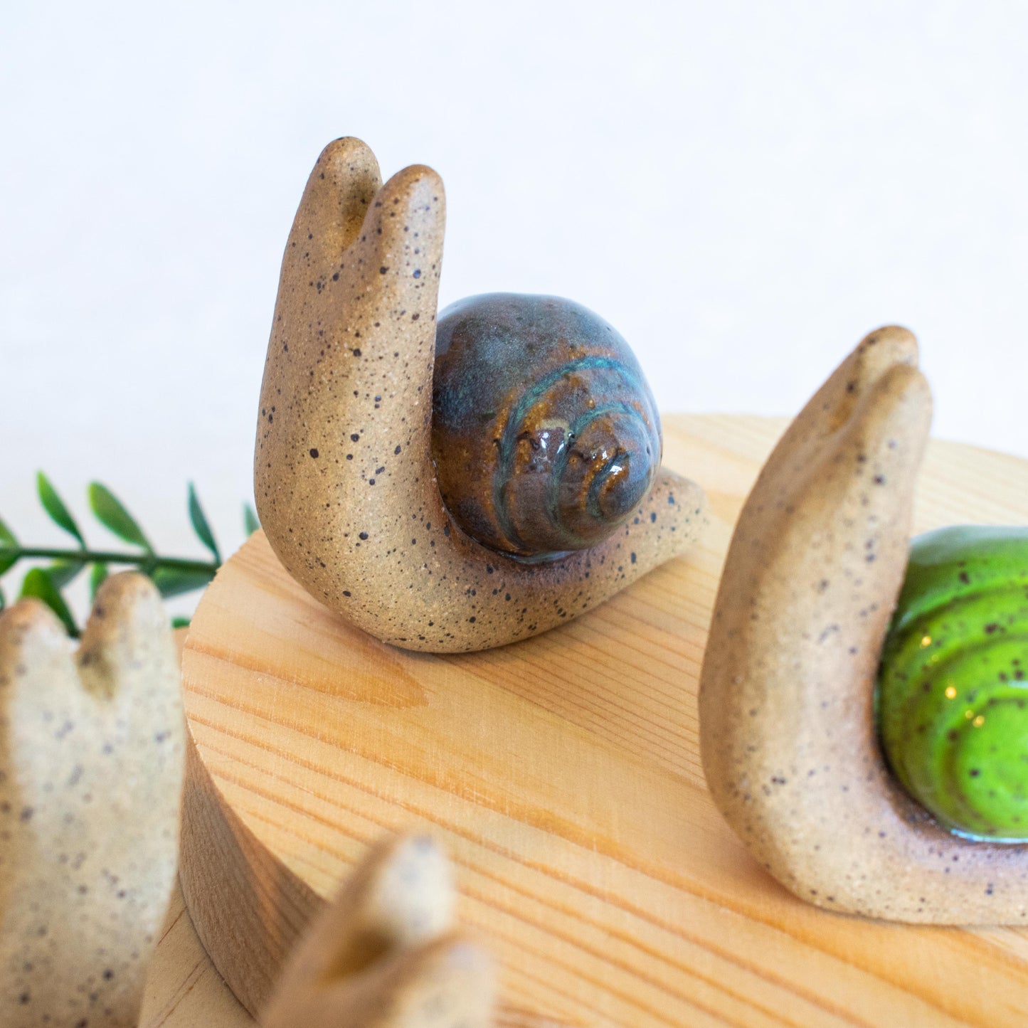 Snail Friends