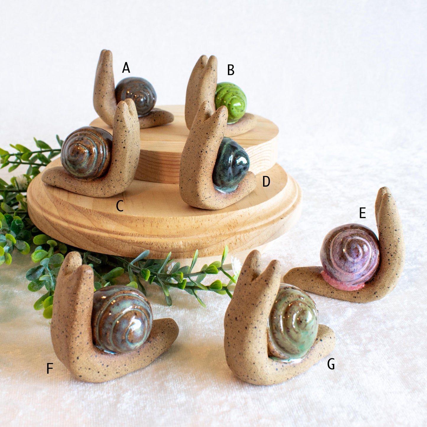 Snail Friends