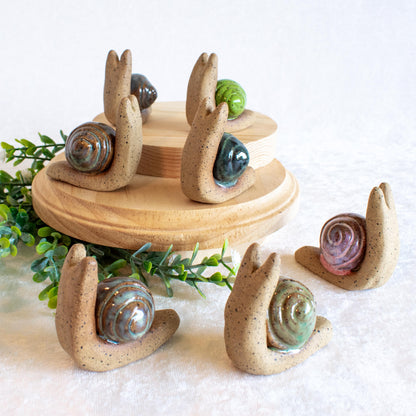 Snail Friends