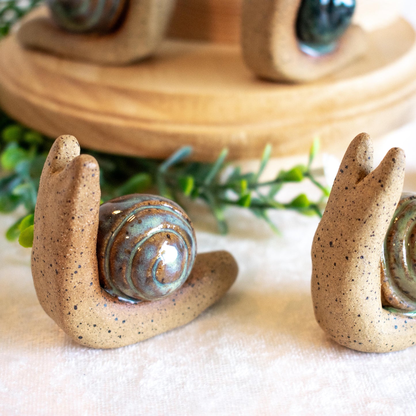 Snail Friends
