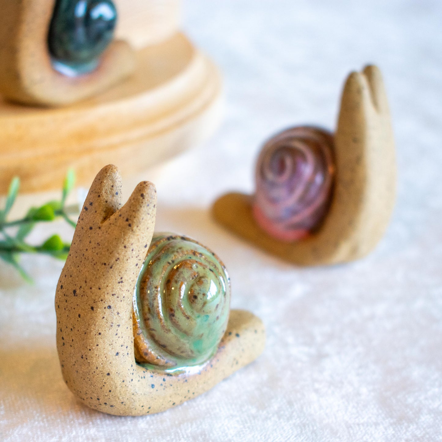 Snail Friends